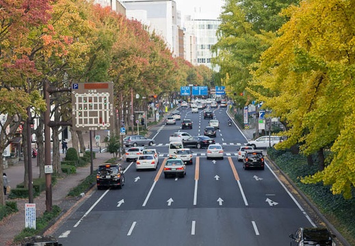 201211201538-DSC09334.jpg