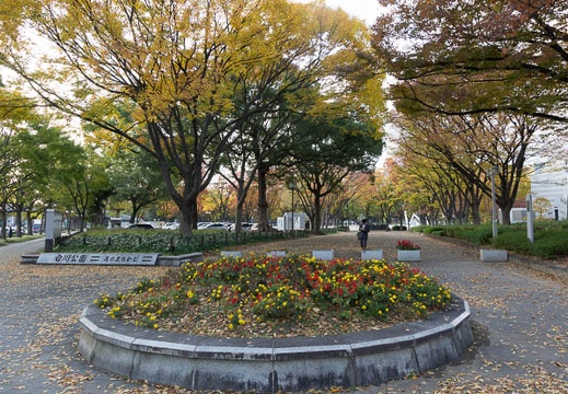 201211201541-DSC09338.jpg