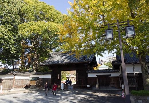 201211211351-DSC09391.jpg
