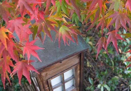 11.21 徳川園