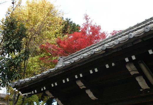 20121124103751-SO-04D.jpg