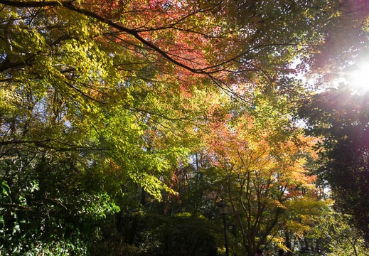 201211250957-DSC07285N.jpg