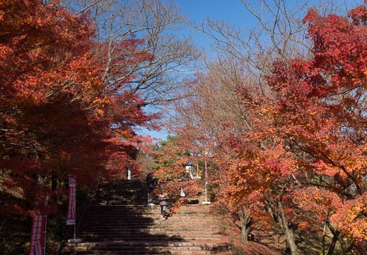 201211251125-DSC05189.jpg