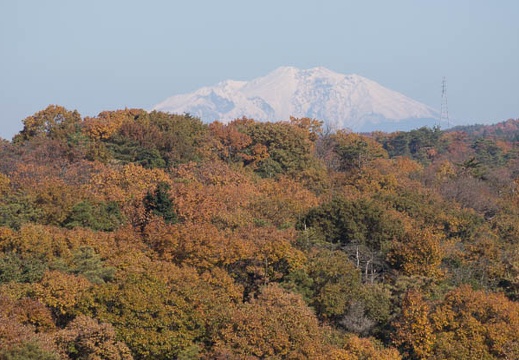 201211251130-DSC05199.jpg