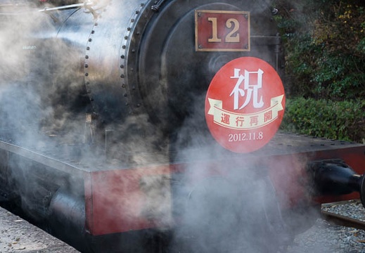 201211251143-DSC05231.jpg