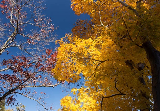 201211251212-DSC05293.jpg