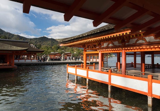 201211270900-DSC05795.jpg