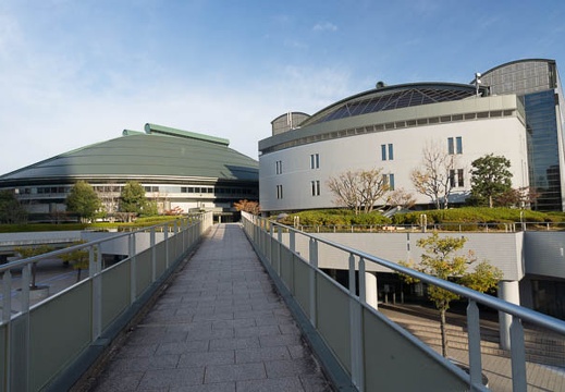 201211280818-DSC06272.jpg