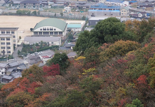 201211290813-DSC06734.jpg