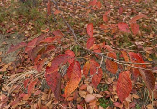 201211290844-DSC06749.jpg