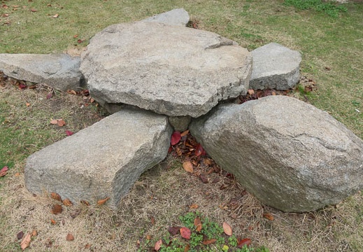 201211290848-DSC06758.jpg