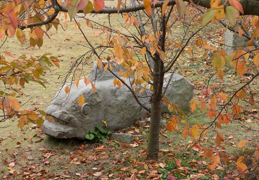 201211290854-DSC06767.jpg