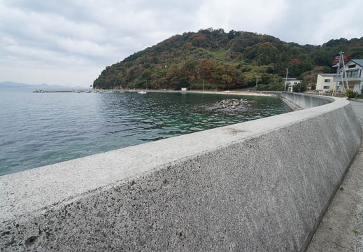 201211290936-DSC08074N.jpg