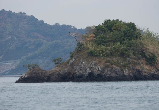 201211291154-DSC06883.jpg