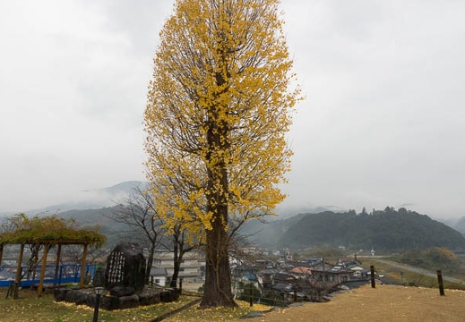 201211291451-DSC06922.jpg