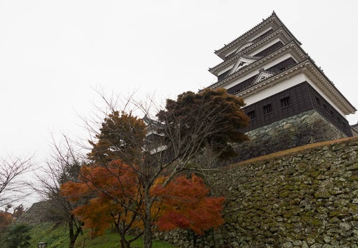 201211291454-DSC06928.jpg