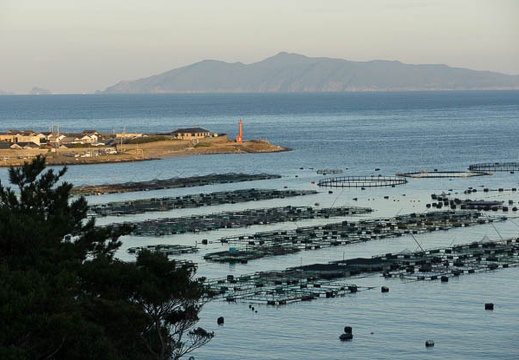201211300721-DSC07088.jpg