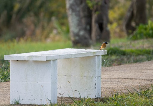 201211300838-DSC07152.jpg