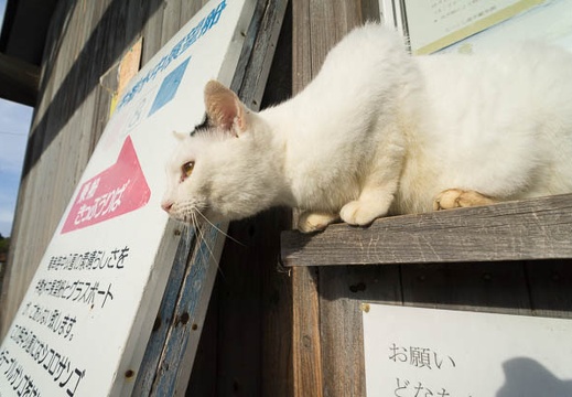 201211300844-DSC08115N.jpg