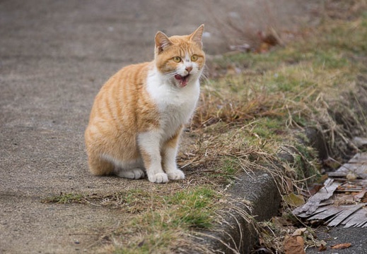 201211300845-DSC07162.jpg
