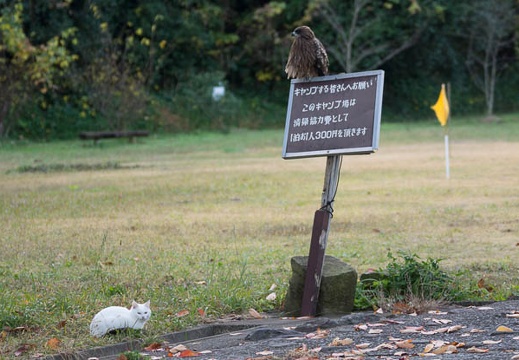 201211300850-DSC07177.jpg