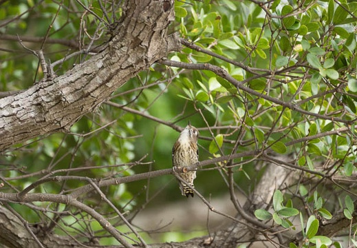 201211300917-DSC07221.jpg