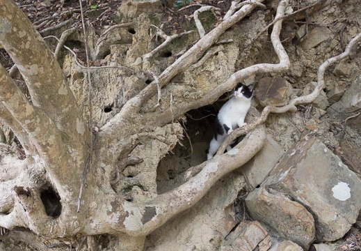 201211300922-DSC07245.jpg
