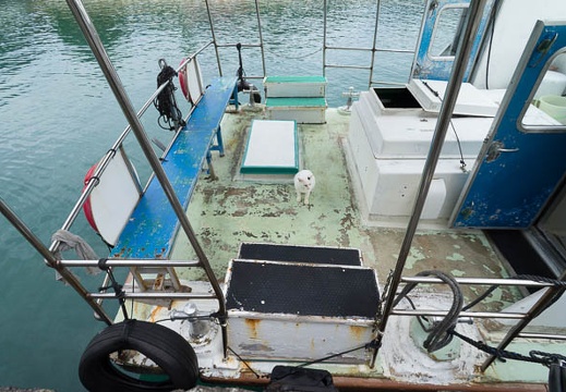 201211300928-DSC08144N.jpg