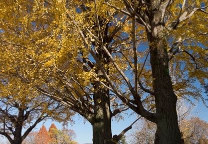 201212031148-DSC08212.jpg