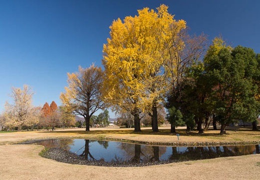 201212031158-DSC08227.jpg
