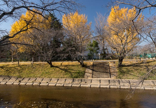 201212031213-DSC08245.jpg