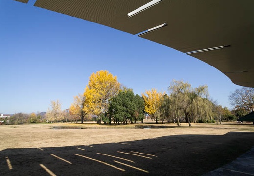 201212031242-DSC08448N.jpg