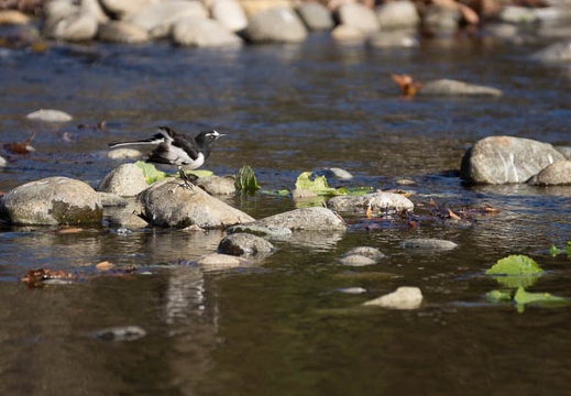 201212031346-DSC08391.jpg