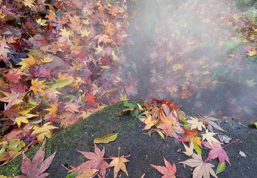 201212031408-DSC08507N.jpg