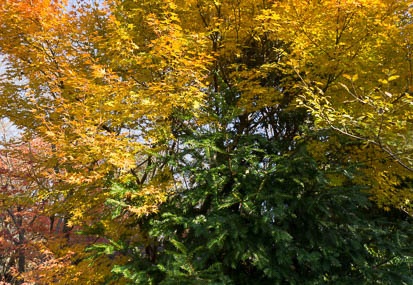 201212031420-DSC08527N.jpg
