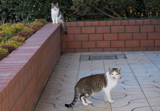 201212051055-DSC08735.jpg