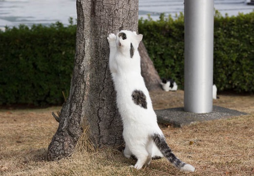 201212051101-DSC08765.jpg
