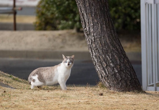 201212051104-DSC08773.jpg
