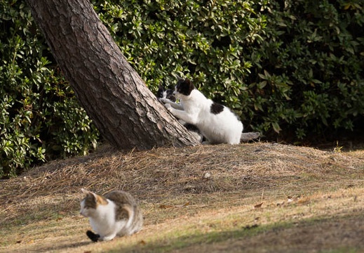 201212051110-DSC08794.jpg