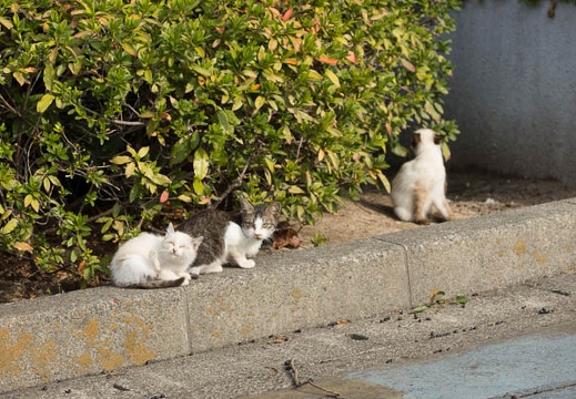 201212051121-DSC08805.jpg