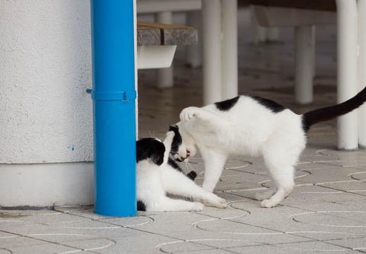 201212051202-DSC08891.jpg