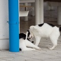 201212051202-DSC08891.jpg