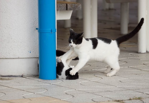201212051202-DSC08892.jpg