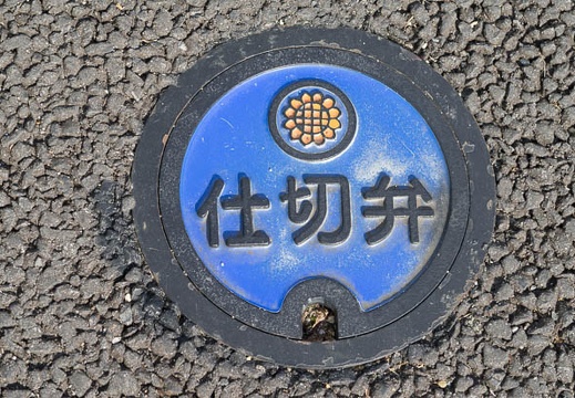 201212091056-DSC08743N.jpg