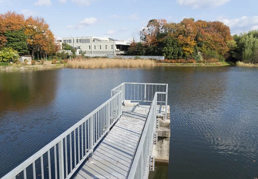 201212091118-DSC08765N.jpg