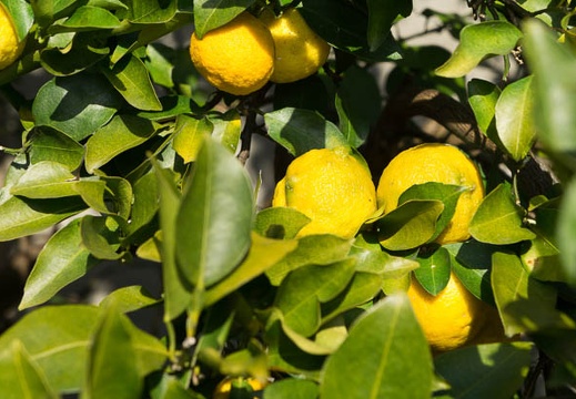 201212091128-DSC08783N.jpg