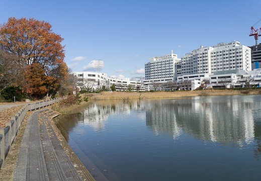201212091206-DSC08851N.jpg