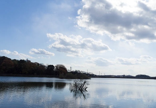 201212091208-DSC08857N.jpg