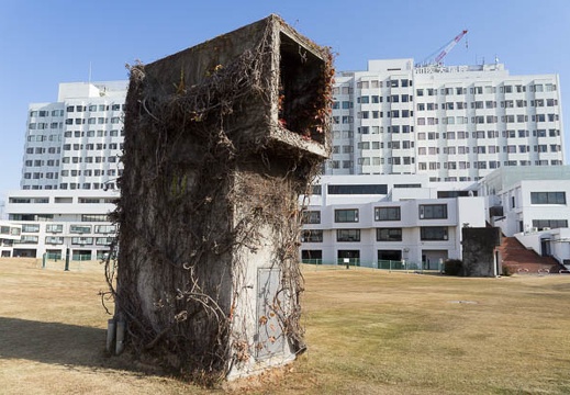 201212091210-DSC08866N.jpg