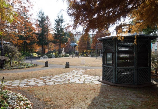 201212111305-DSC08931N.jpg